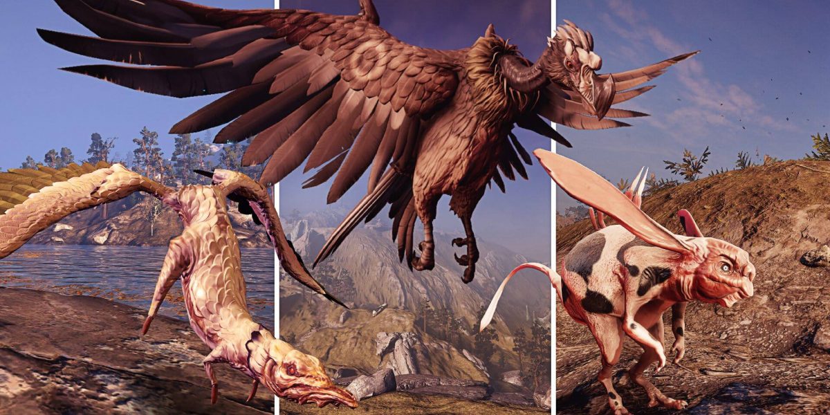 Fauna Animal Conservation Warframe Guide How to Track Animals WargameRd