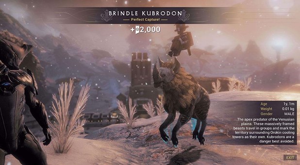 warframe stuffed animals