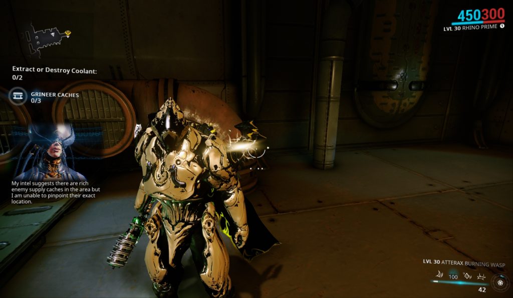 The Best Rhino Prime Builds