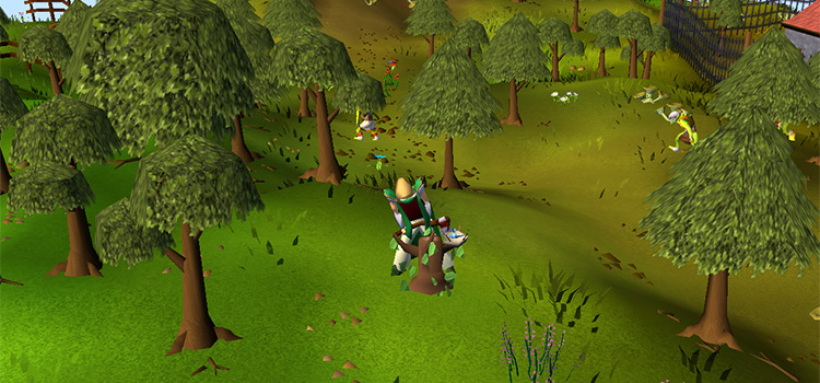 Useful Items for Woodcutting EXP Boosts