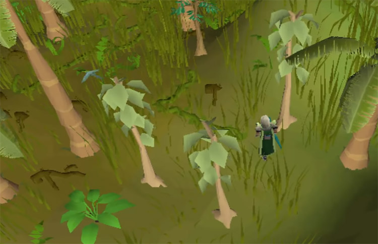 Woodcutting Levels 45 – 62